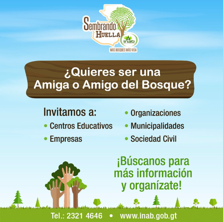 Conviértete en amigo del bosque y contribuye a reforestar Guatemala |  Ecociencia Guatemala | Lucy Calderón | Historias de ciencia, ecología,  salud, tecnología e innovación en Guatemala